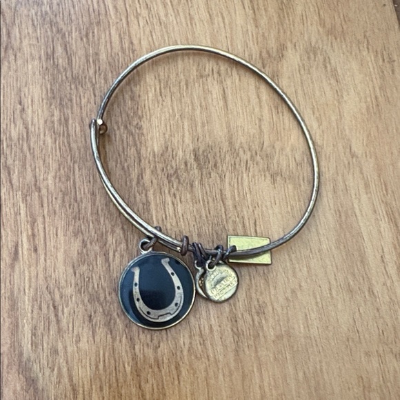 Alex and Ani Horseshoe Bangle - Picture 2 of 3